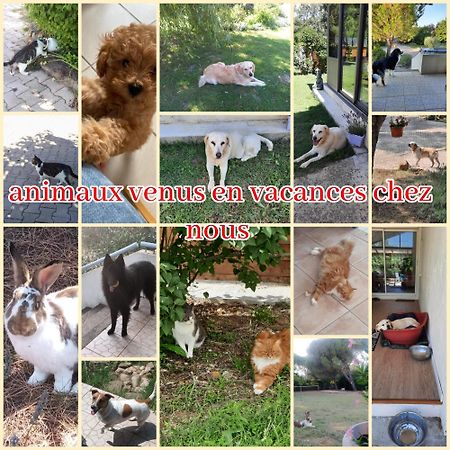 Gite Ma Vie La 3 Etoiles, Jacuzzi, Animaux Acceptes Saint-Julien-de-Cassagnas Εξωτερικό φωτογραφία