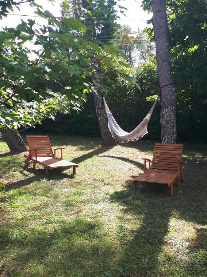 Gite Ma Vie La 3 Etoiles, Jacuzzi, Animaux Acceptes Saint-Julien-de-Cassagnas Εξωτερικό φωτογραφία