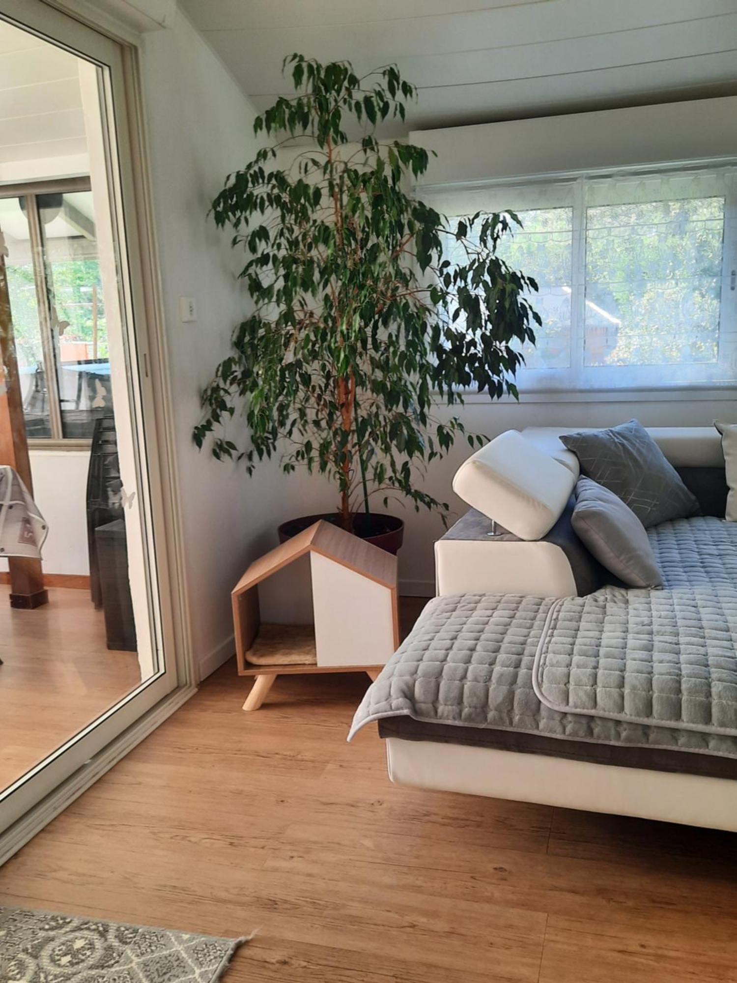 Gite Ma Vie La 3 Etoiles, Jacuzzi, Animaux Acceptes Saint-Julien-de-Cassagnas Εξωτερικό φωτογραφία