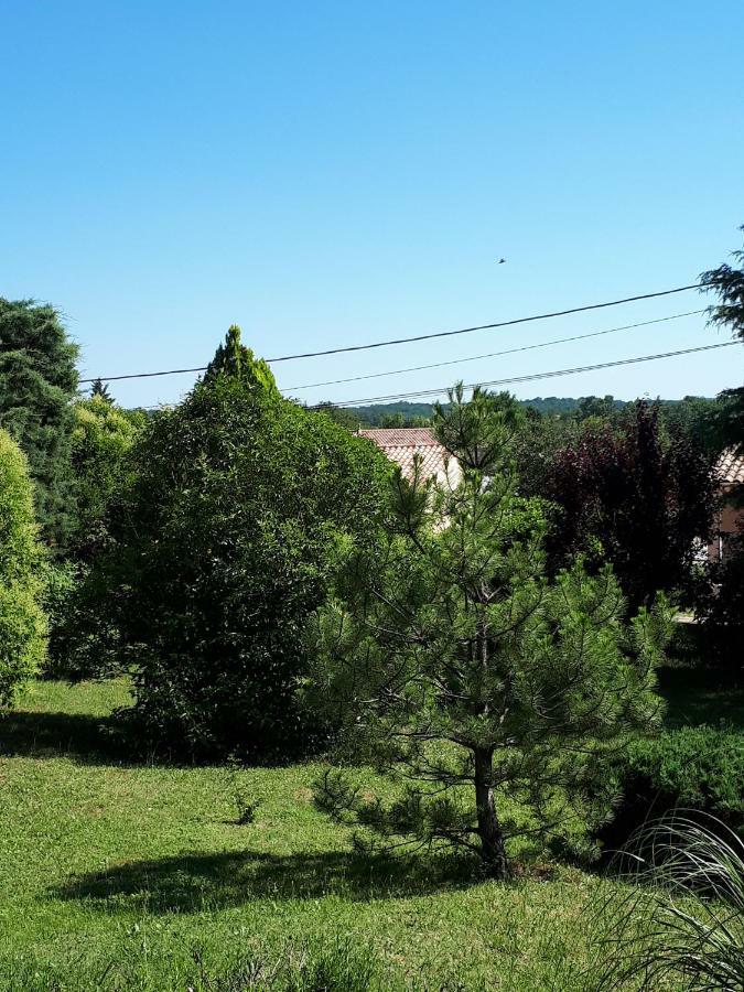 Gite Ma Vie La 3 Etoiles, Jacuzzi, Animaux Acceptes Saint-Julien-de-Cassagnas Εξωτερικό φωτογραφία